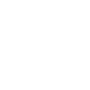 Sales icon