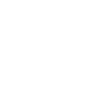 Sustainable globe icon