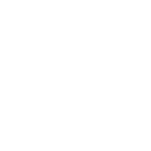 Person Icon