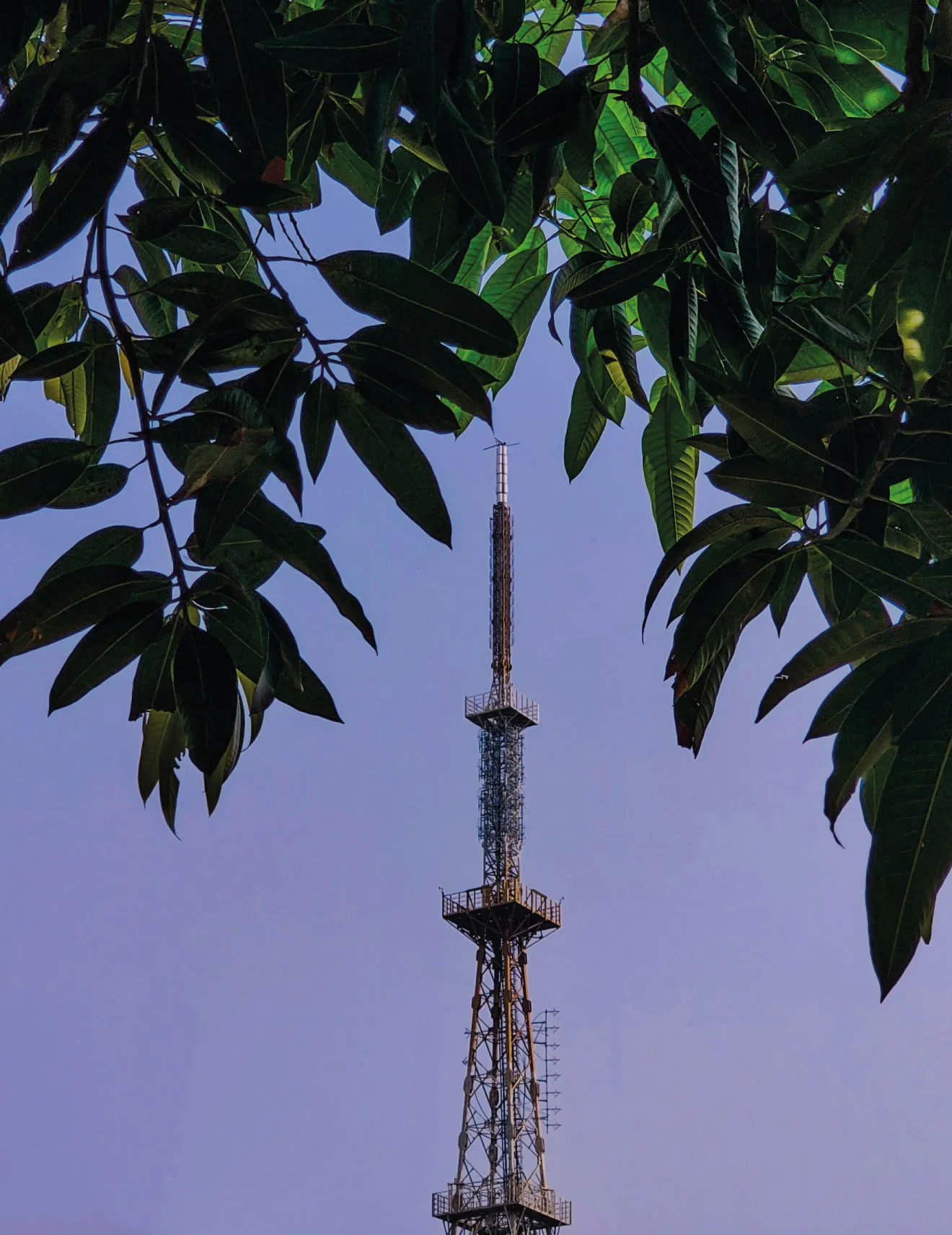 Telecoms Tower