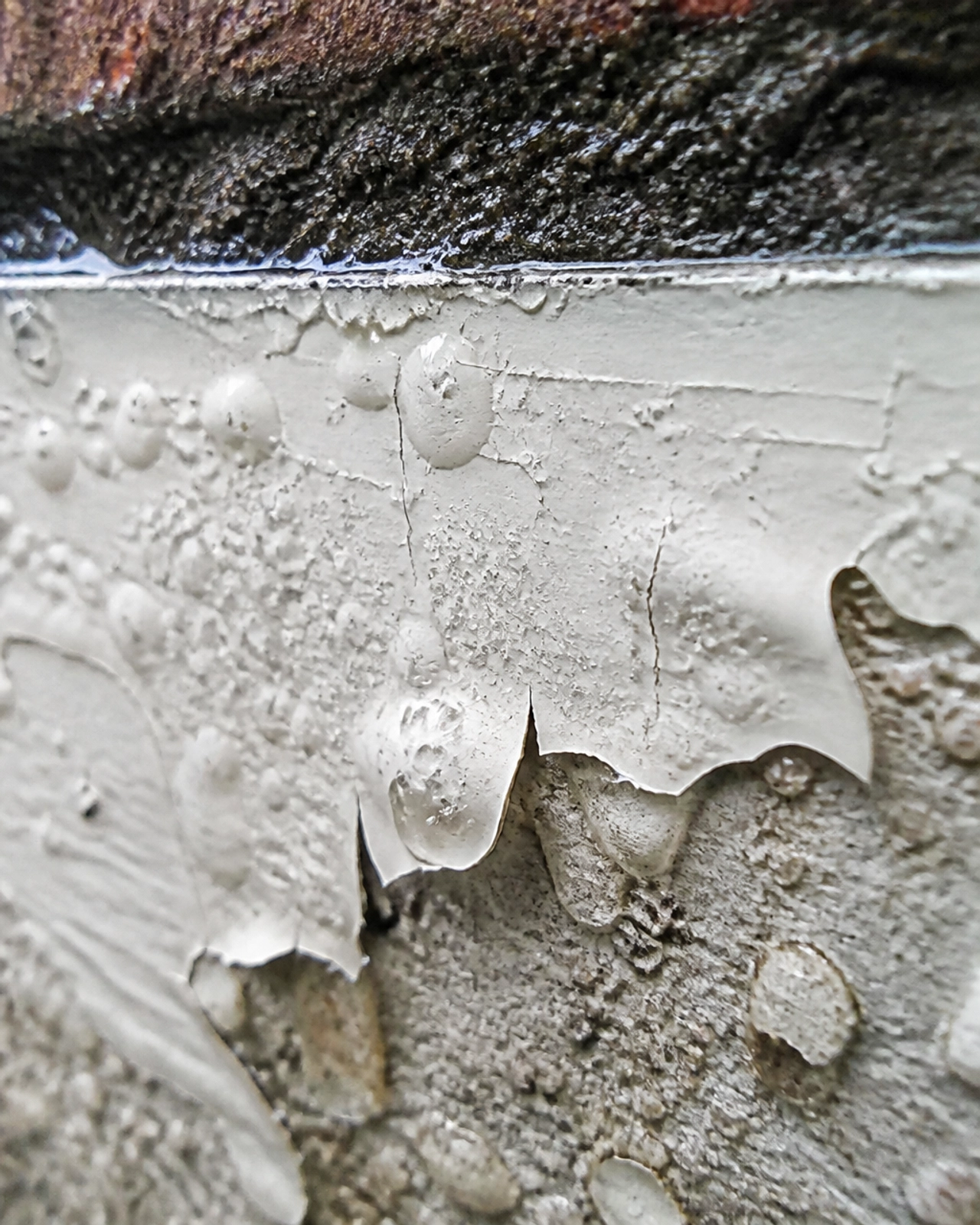 Extreme macro of paint blistering on a masonry wall below the damp-proof course