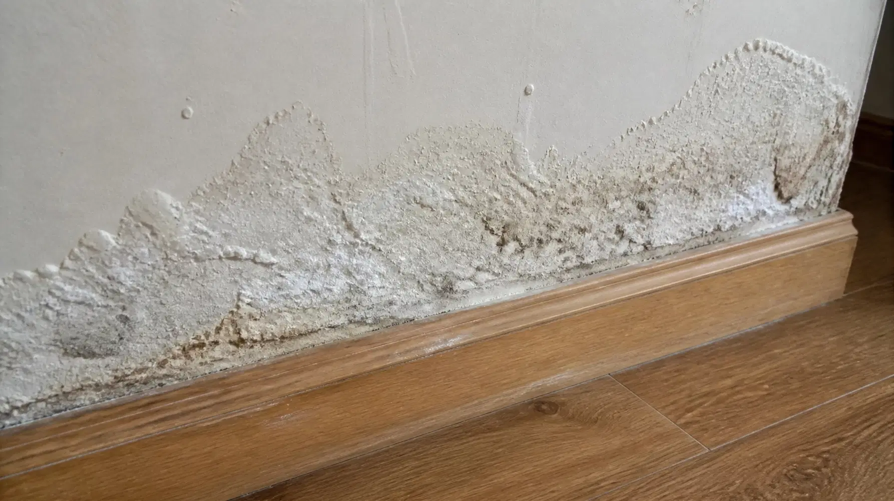 Detail showing internal wall damage with significant salt efflorescence and rising damp indicators