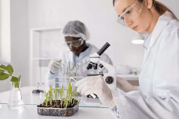Two scientists in lab coats and safety glasses examining plant samples with microscope and tools.