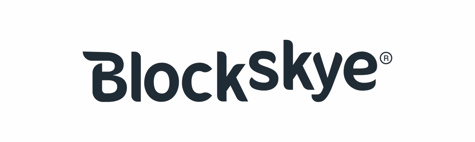 Blockskye brand name in bold black stylized font with a registered trademark symbol.