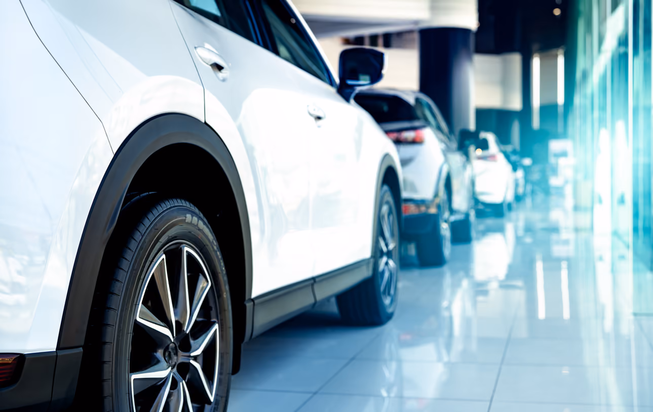 Mehrere weiße SUVs, die in einem hellen, modernen Autohaus in einer Reihe geparkt sind.