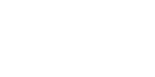 Les Echos x Wally Invest