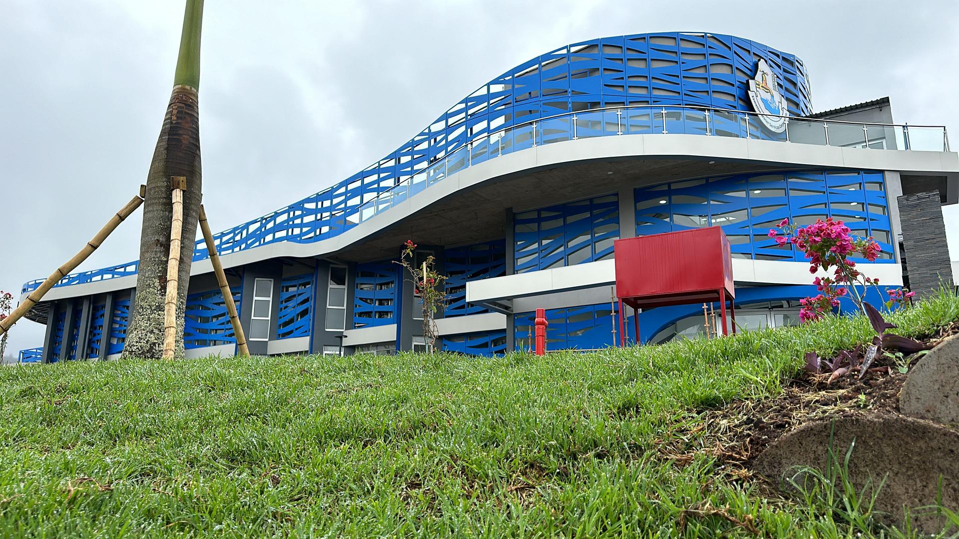Case Study Image 