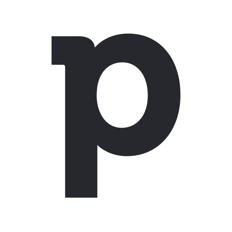 Lowercase letter p in bold black font on white background.