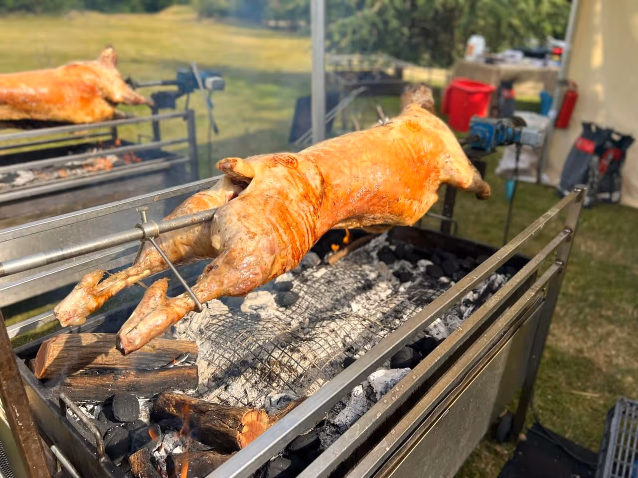 Whole roasted pig on a spit over glowing charcoal embers in an outdoor setting.