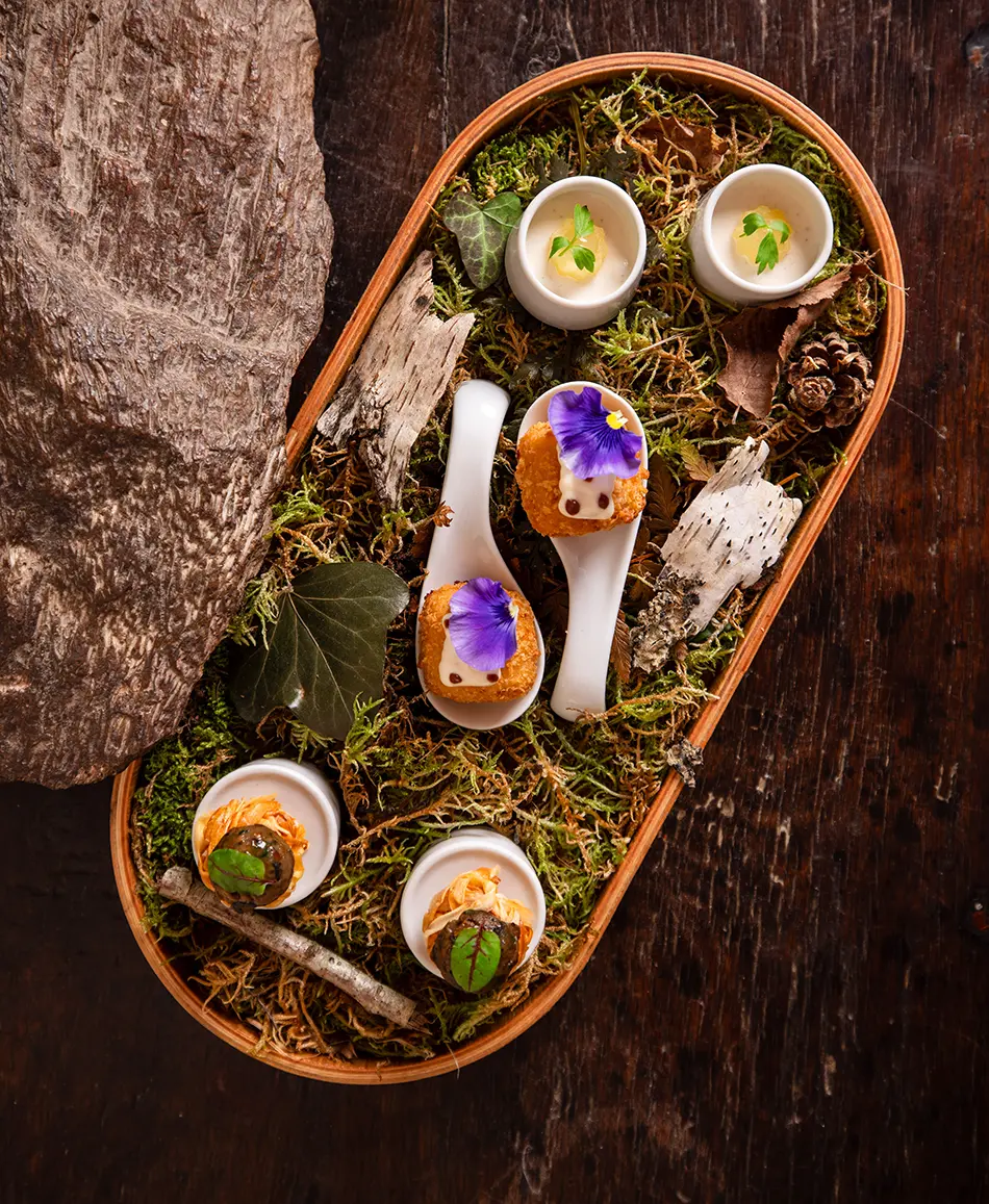 Set mit Gourmet-Vorspeisen in einem mit Moos, Blättern und Holz verzierten Tablett.