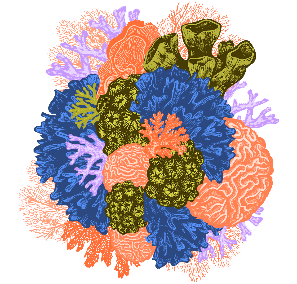 Detailed illustration of colorful coral reef with blue, orange, green, and purple corals.