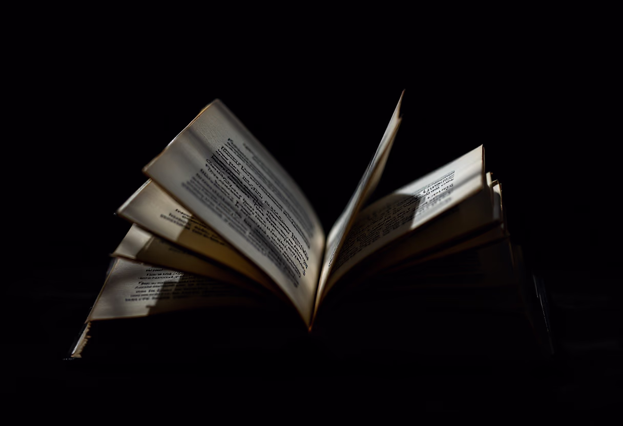image of individual book with synopsis