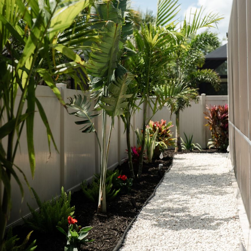 Finished tropical planting bed along a white fence beside a white stone walkway.