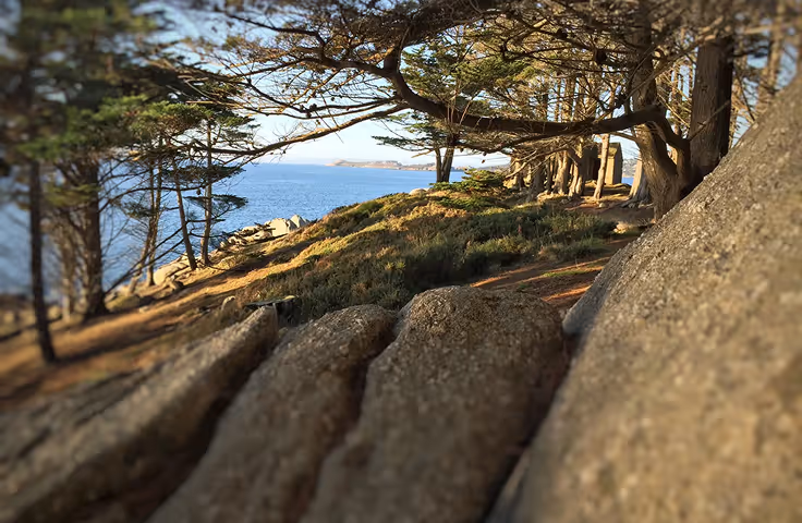 Le domaine de Dourven et sa pointe boisée face à la mer