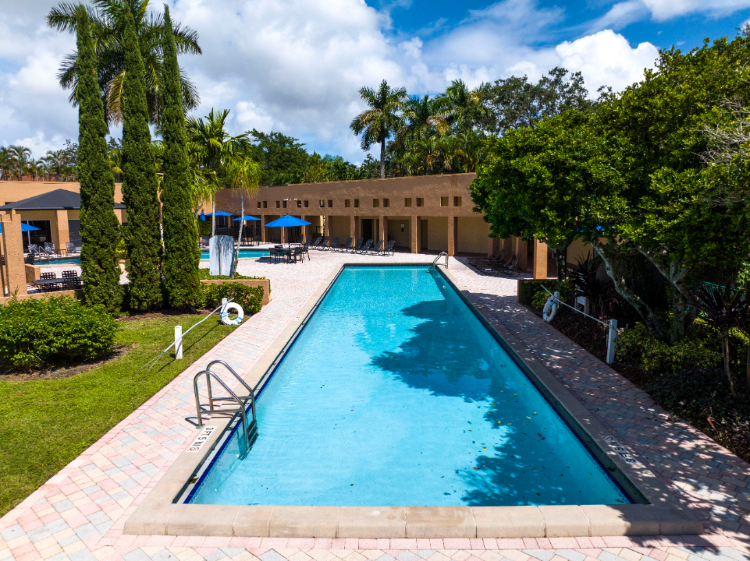 Swimming pool with palm trees