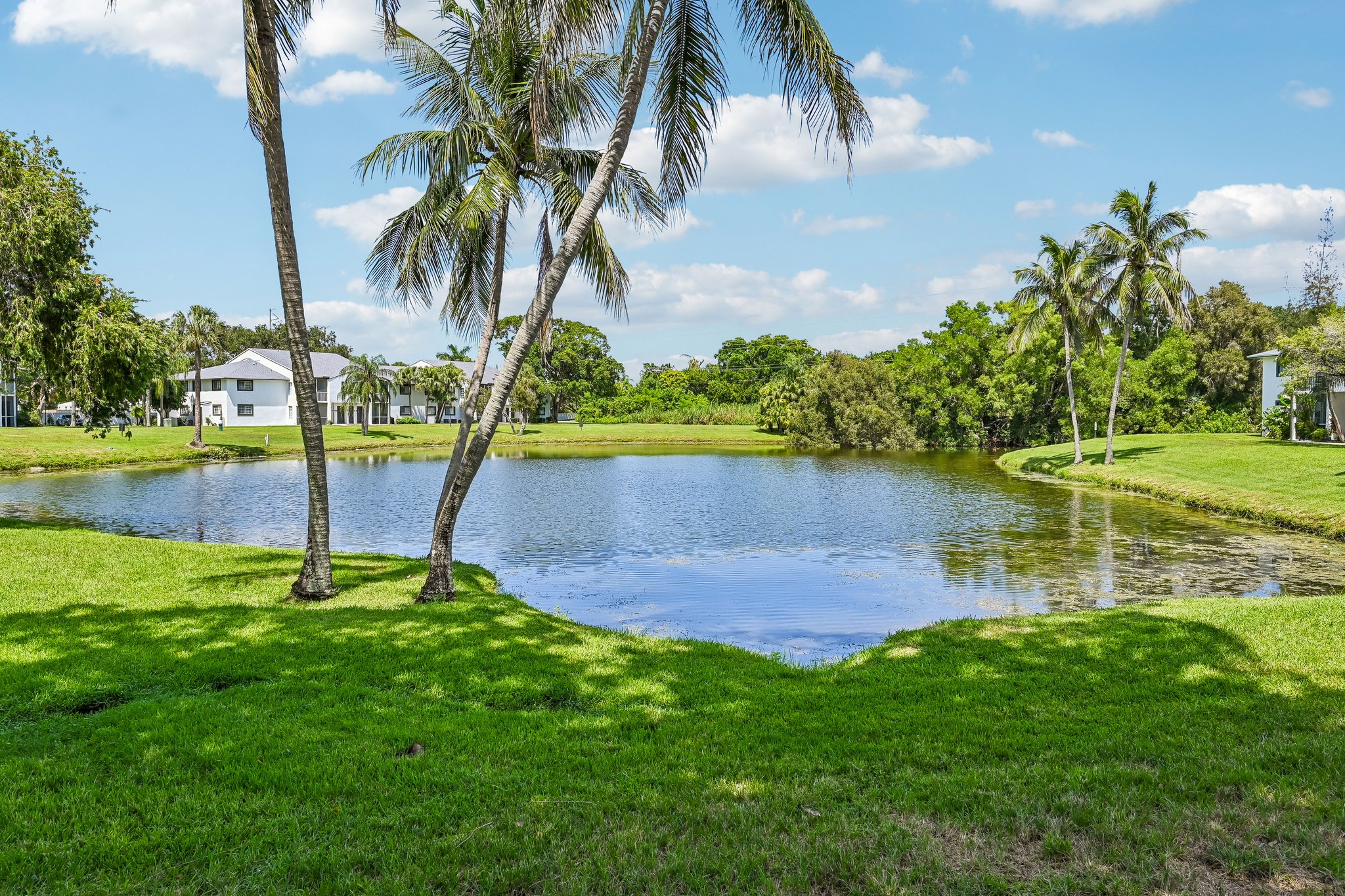 pond with palm trees Azalea Village 