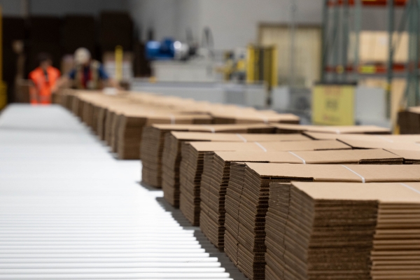 stock corrugated boxes on production line