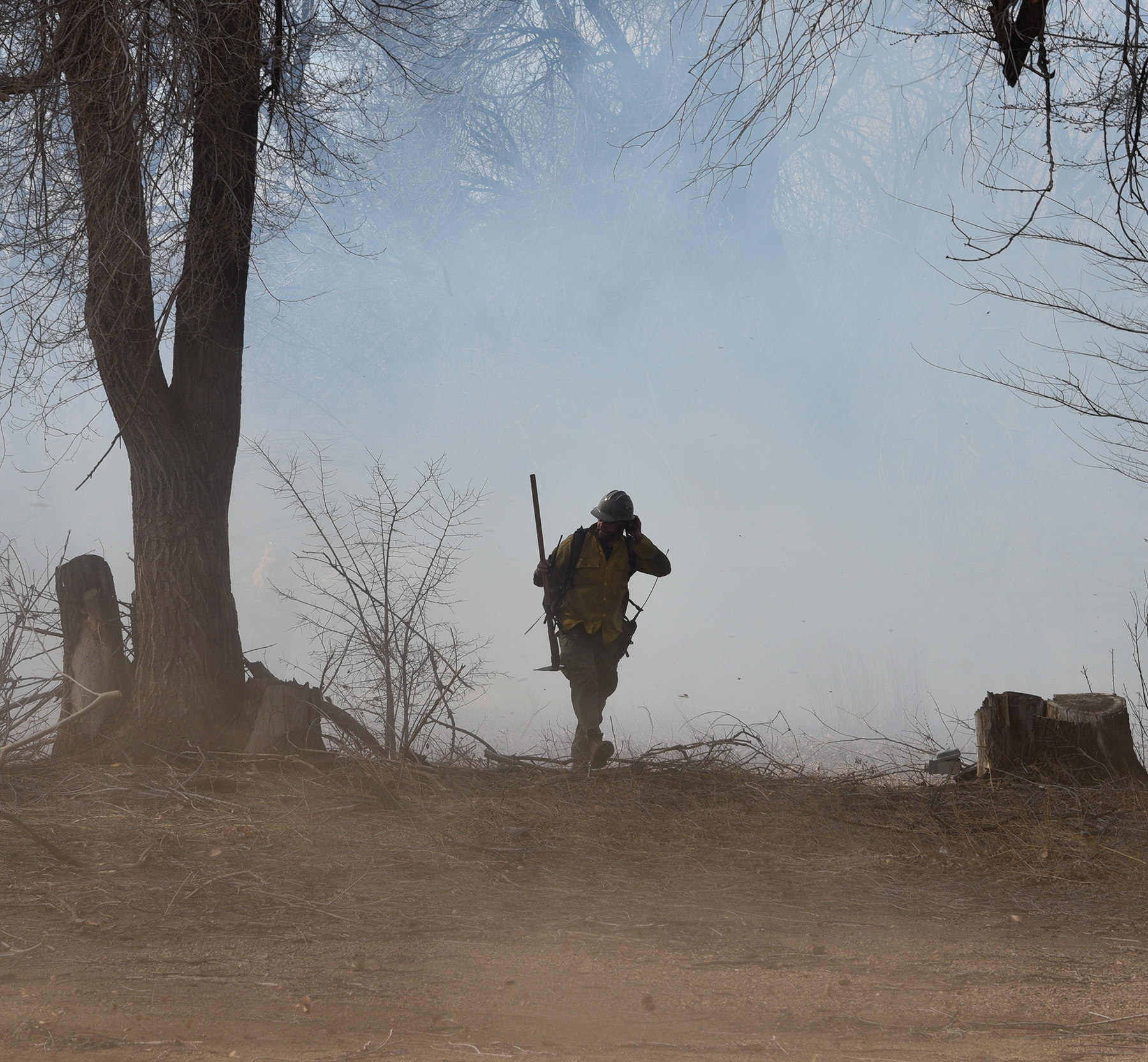 Firefighter in yellow gear walking through smoky, bare wooded area carrying equipment.