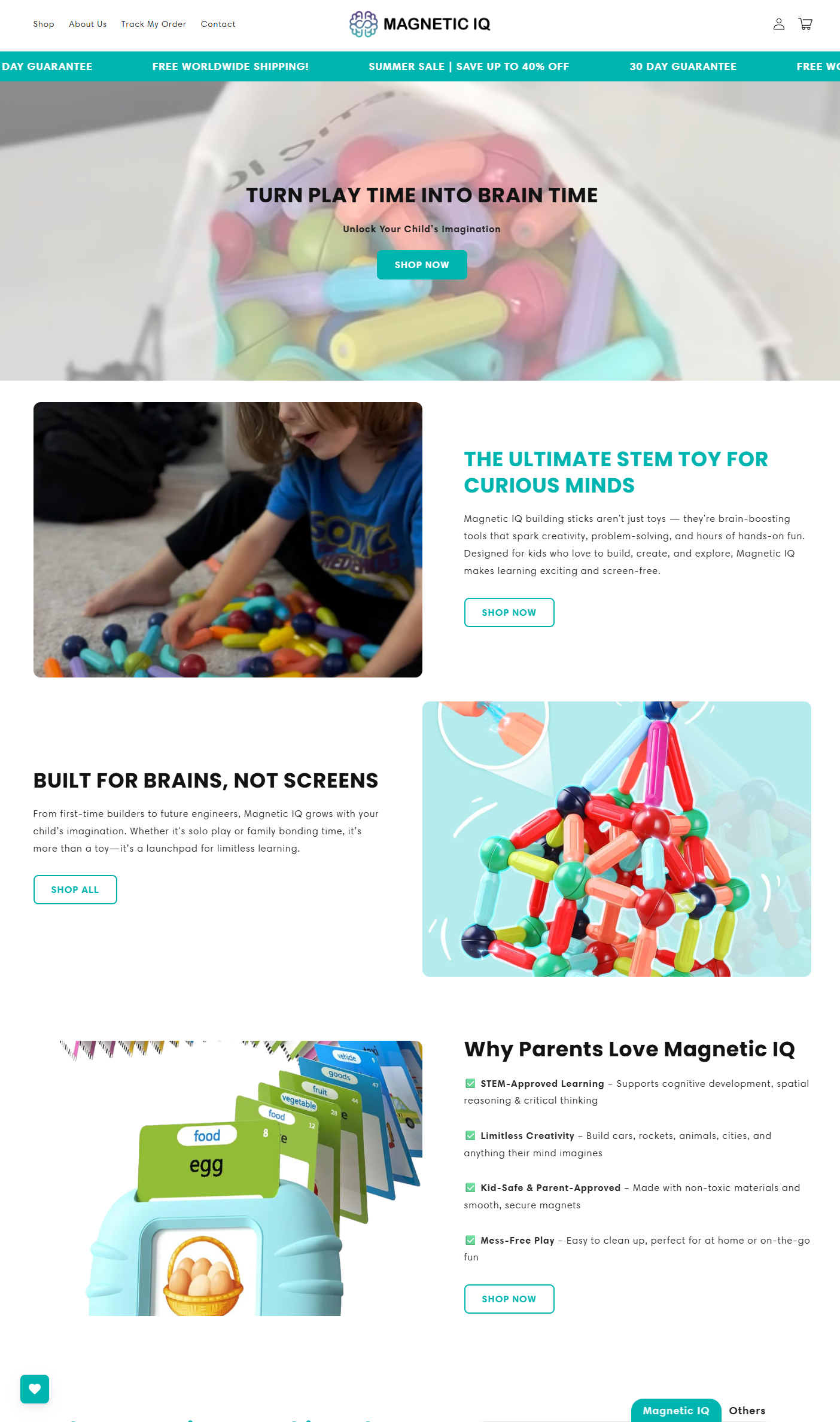 Magnetic IQ website