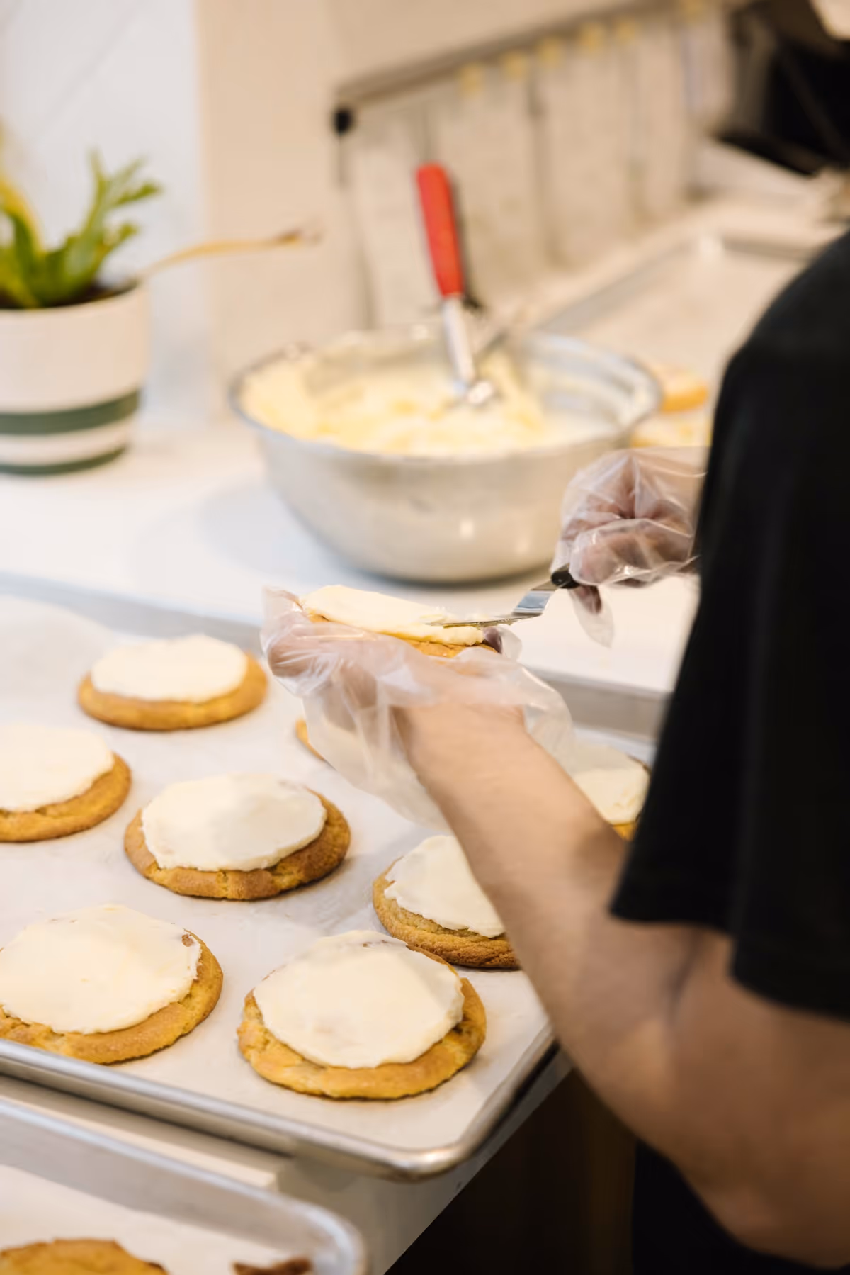 Person frosting round cookies on a baking tray using a spatula in a kitchen setting.