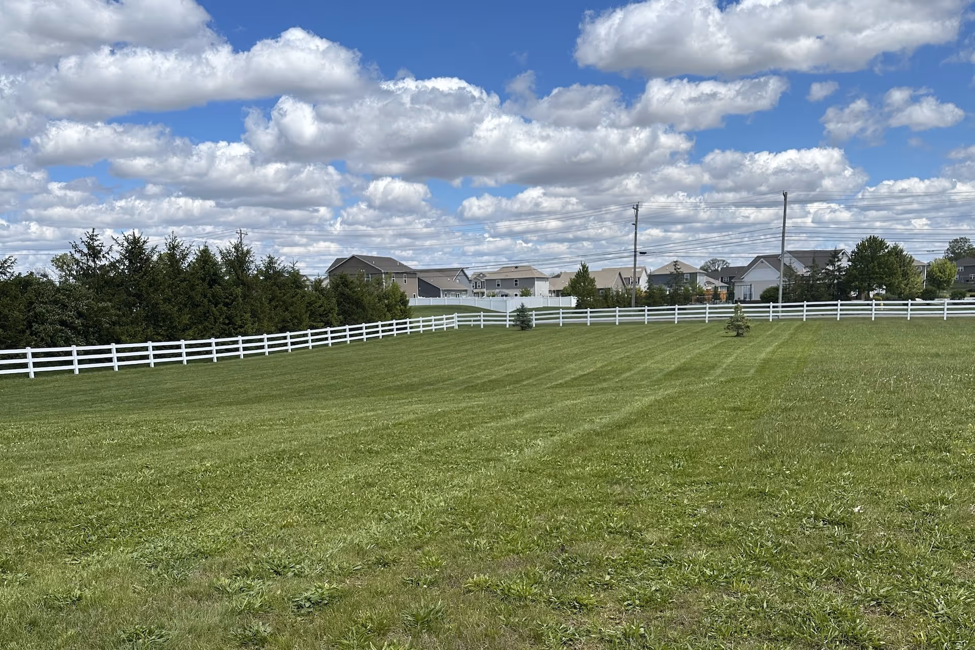 Professional lawn care near me in Central Indiana by Iron Wolf Land Management