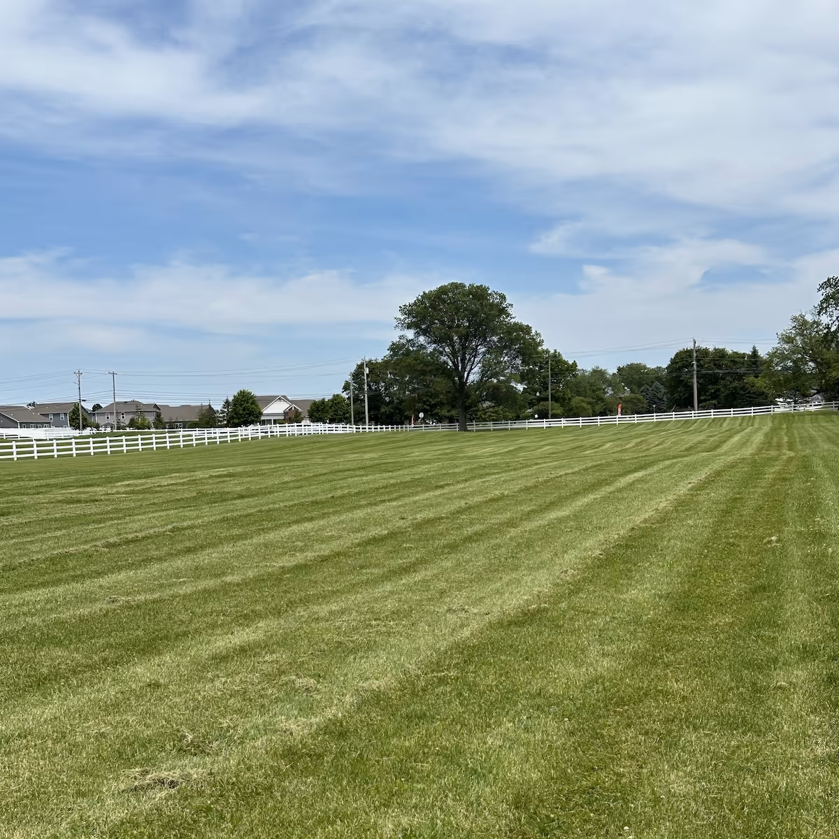 Freshly cut residential lawn near me by Iron Wolf Land Management