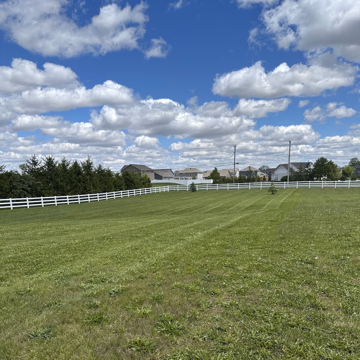 Professional lawn care near me in Central Indiana by Iron Wolf Land Management