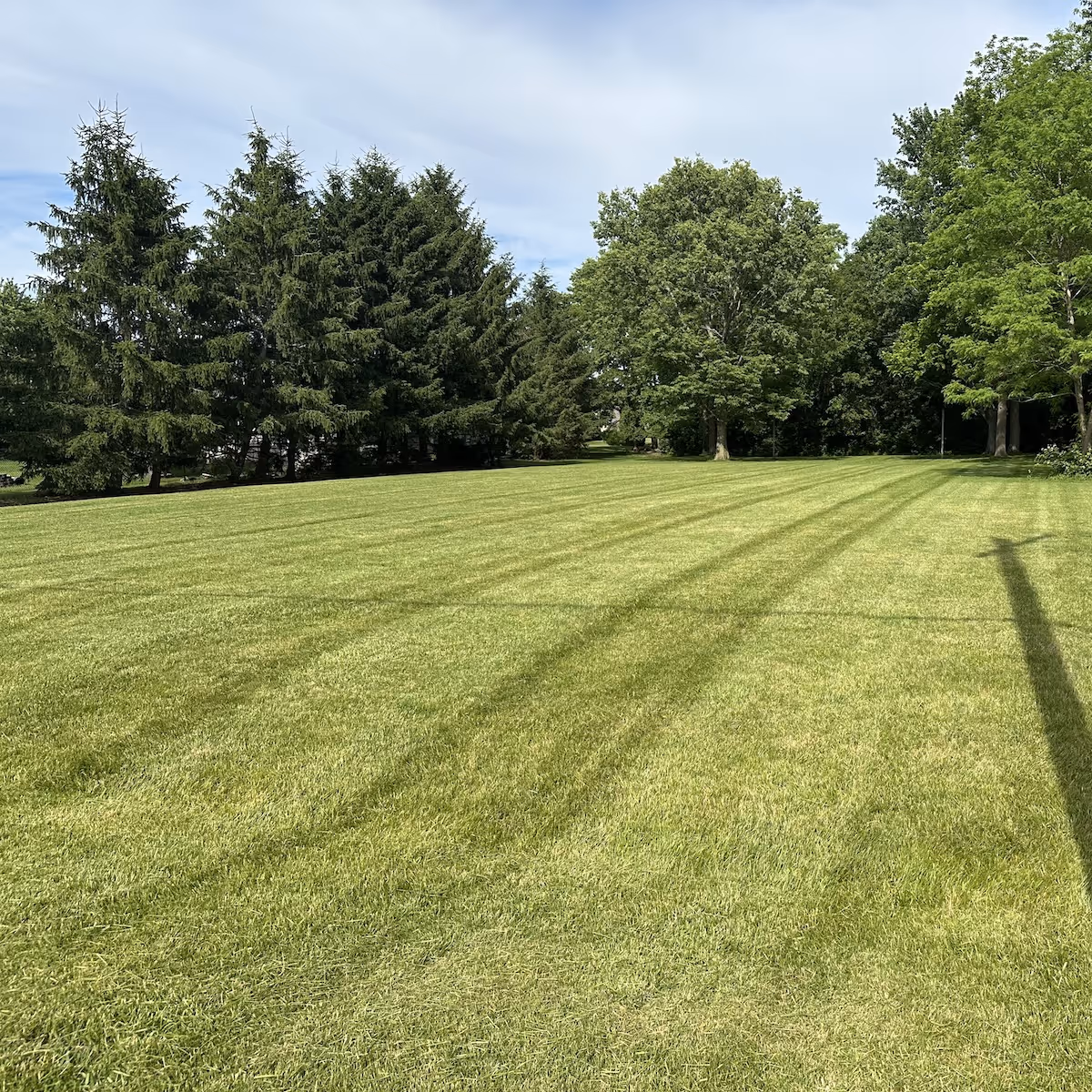 Professional lawn moving service near me in Central Indiana