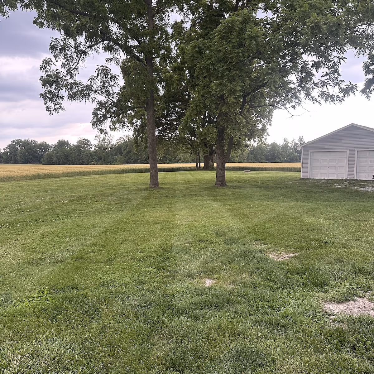 Freshly mowed estate lawn near me maintained by Iron Wolf Land Management