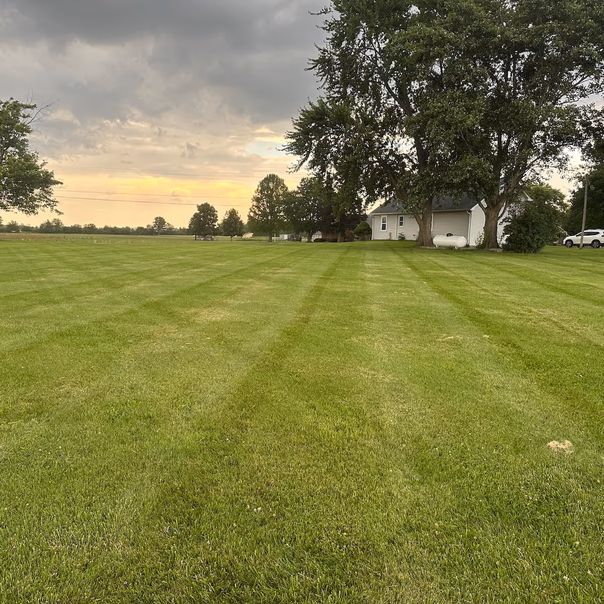 Freshly cut residential lawn showcasing professional mowing by Iron Wolf Land Management”