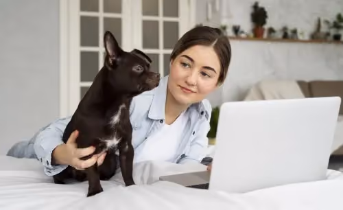 Solving the Veterinary Staffing Crisis with Virtual Assistants
