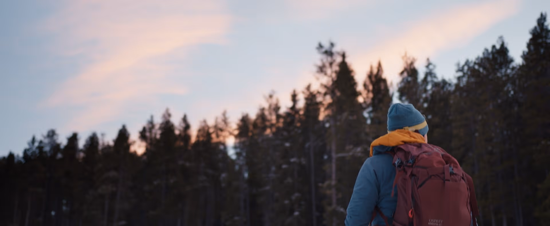 Woman in the Crowsnest Pass walking through the forest at sunset.