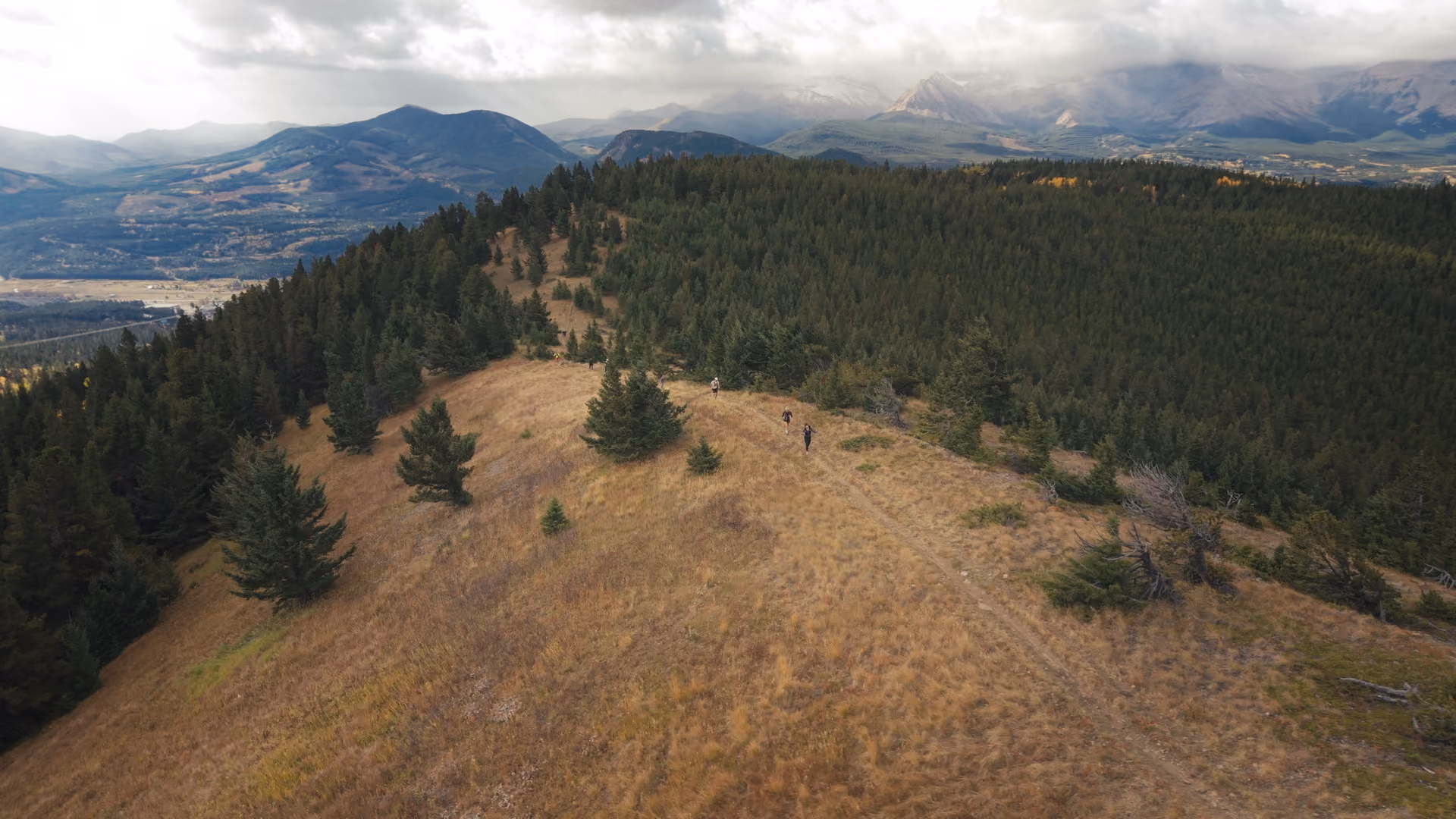 Crowsnest Pass Trail Running