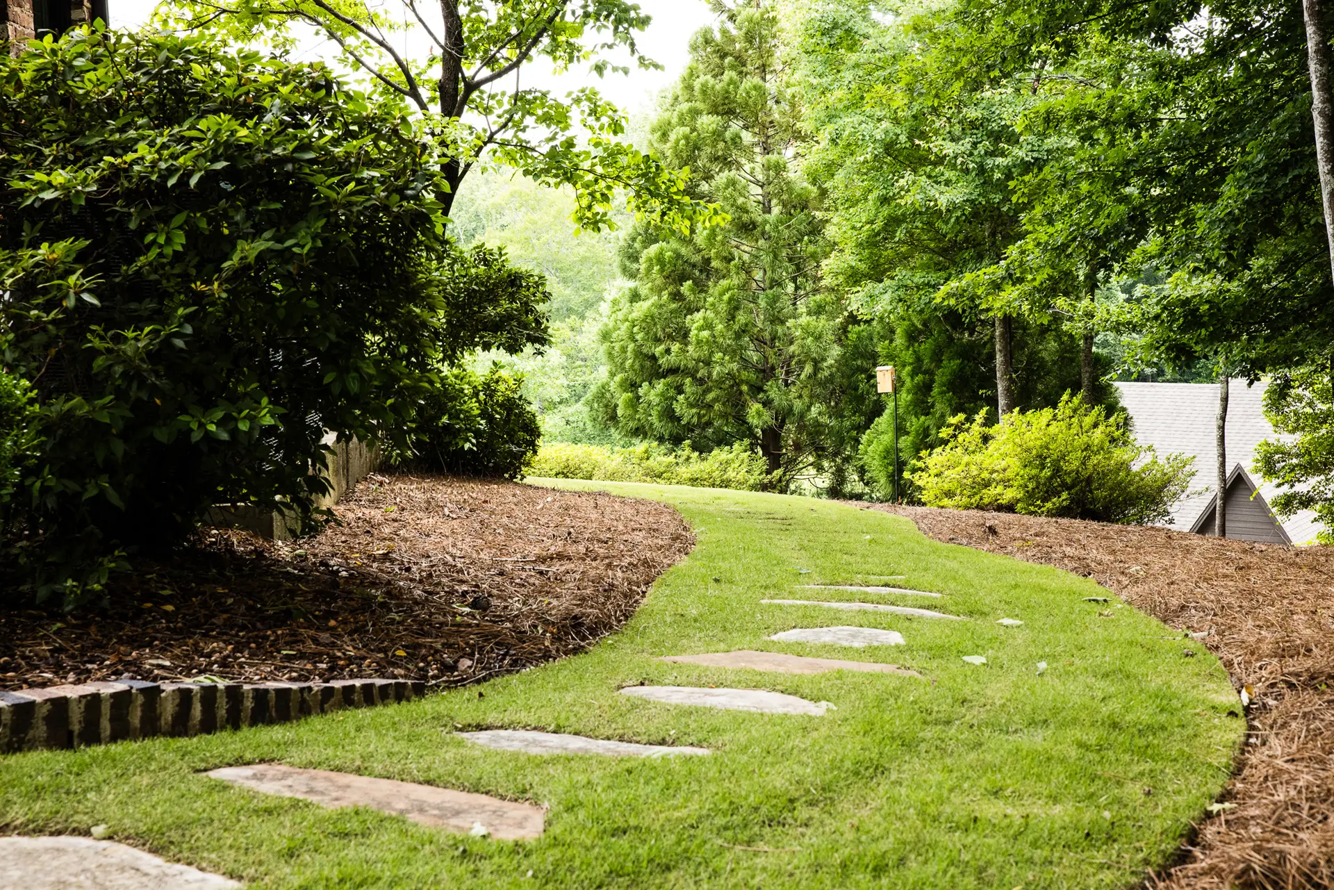 Landscape Design