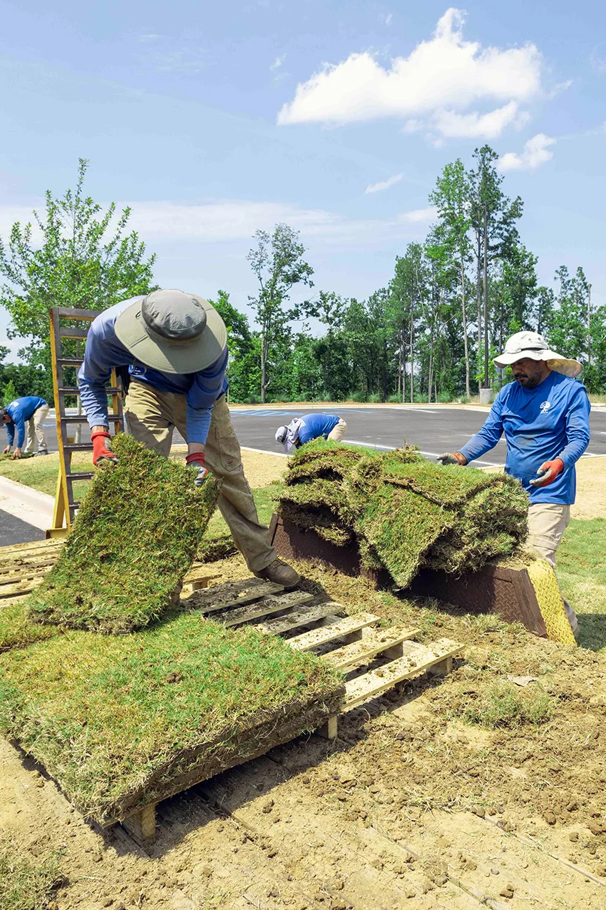 Landscape Installation