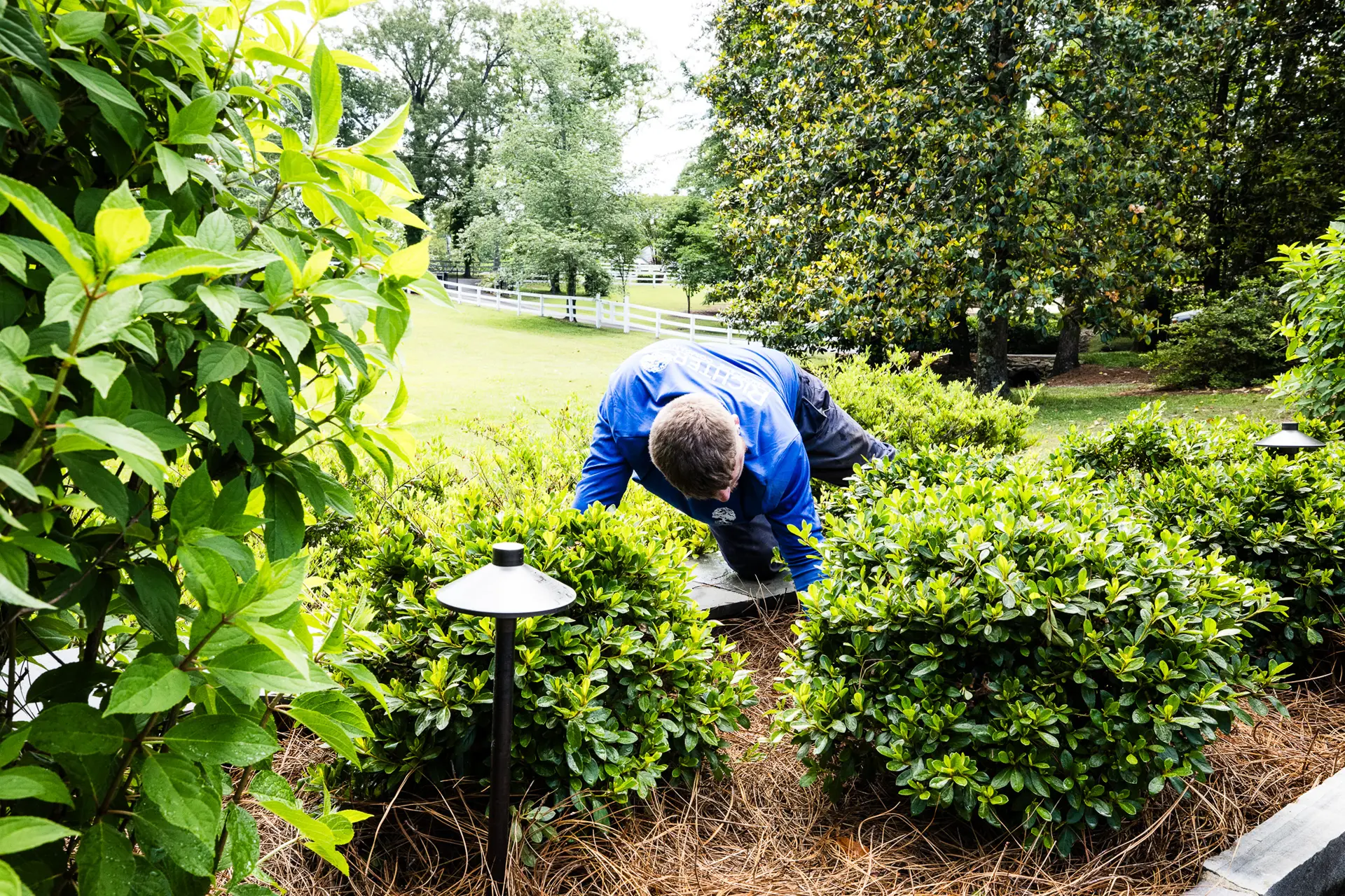 Landscape Management