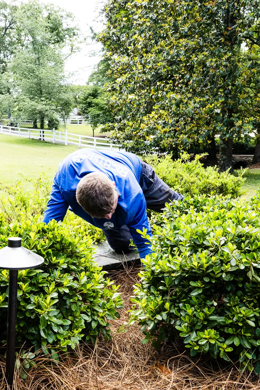 Landscape Management