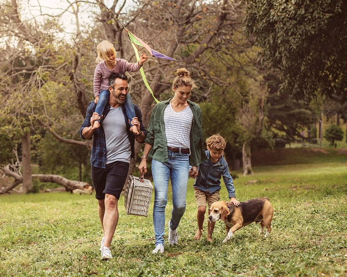 Family walking in park with picnic basket, kite, young kids, and a dog on a sunny day.