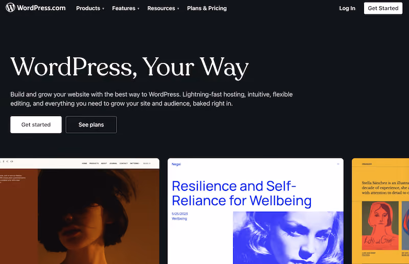 WordPress CMS - knowledge management system examples