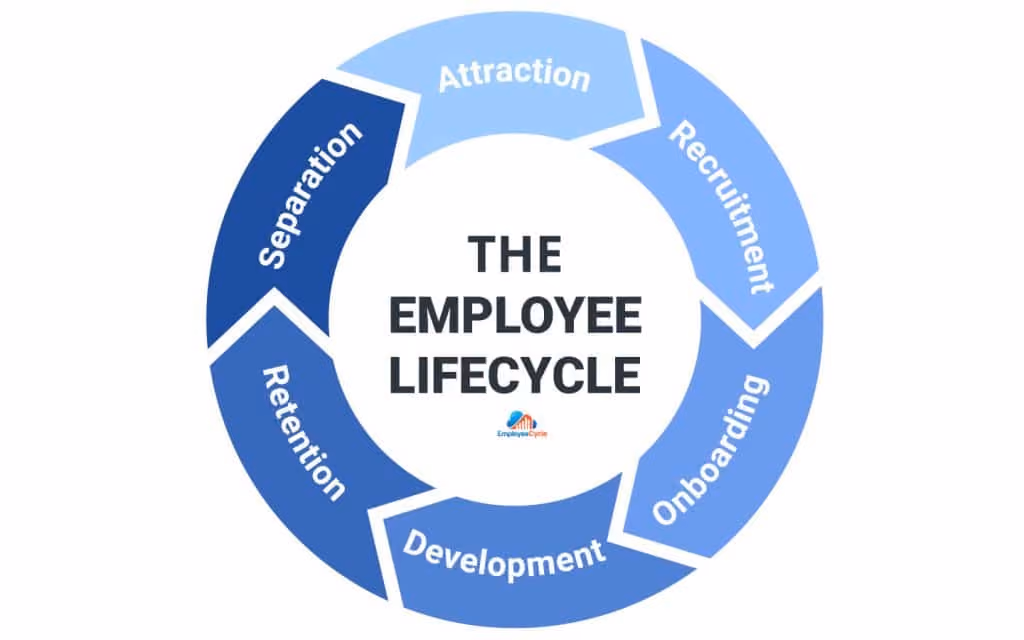 This image shows the seven stages of employee life cycle - employee training template