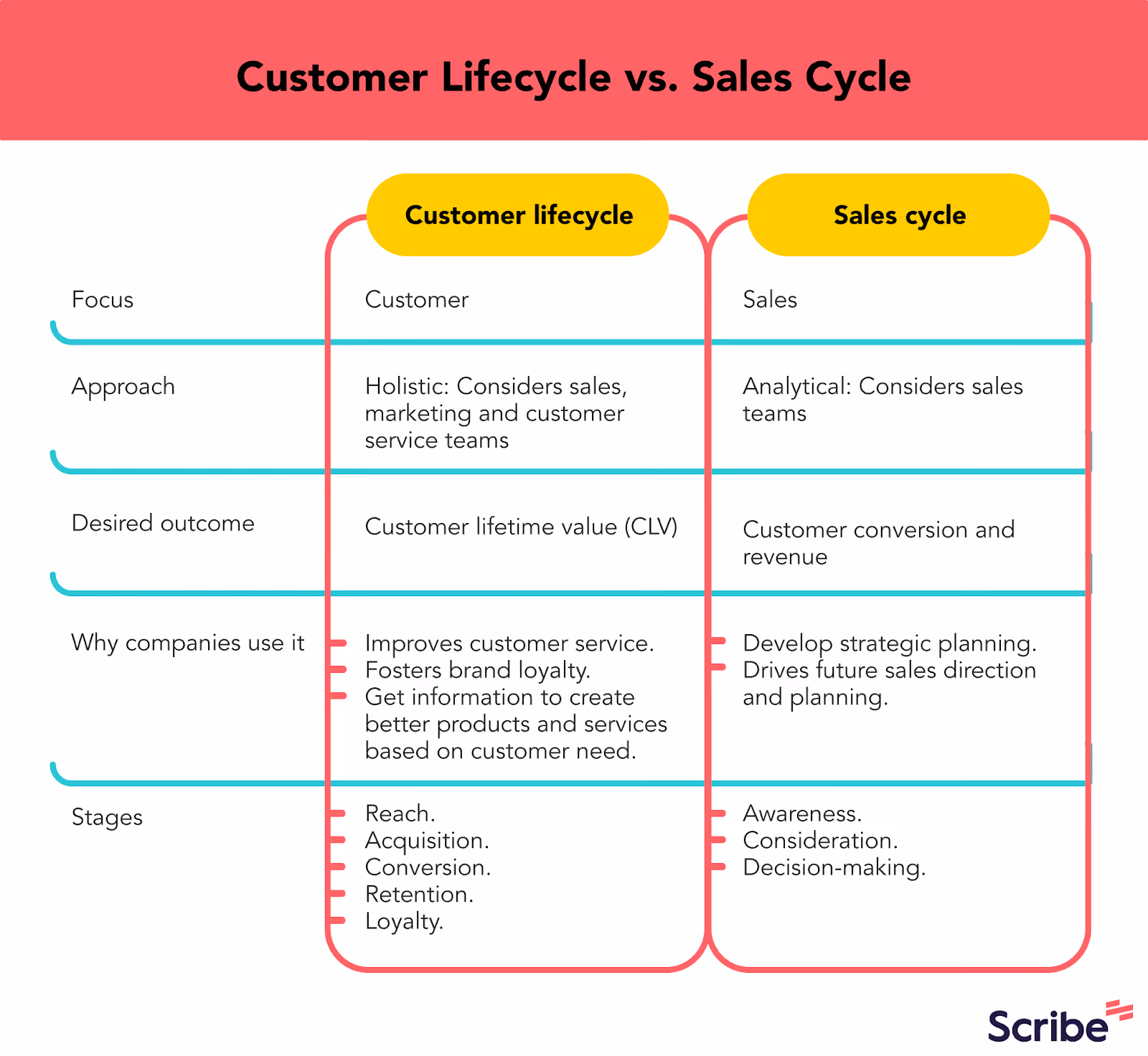 Differences between the customer lifecycle and sales cycle.