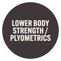 Round badge with text Lower Body Strength / Plyometrics in bold uppercase white letters.
