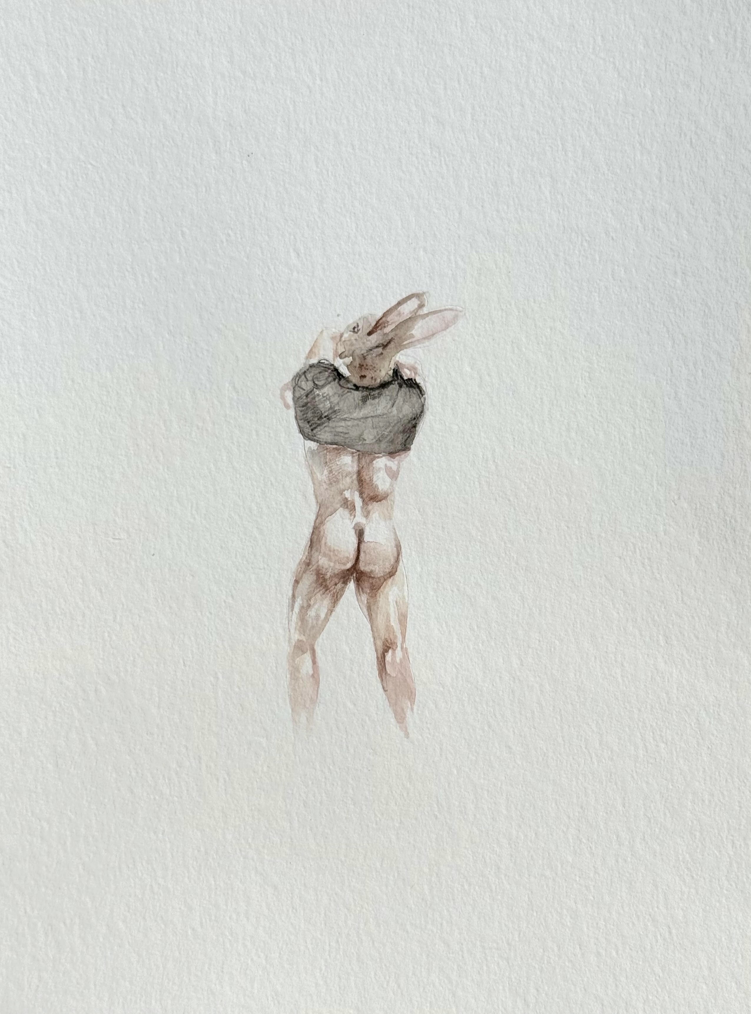 Drawing 338