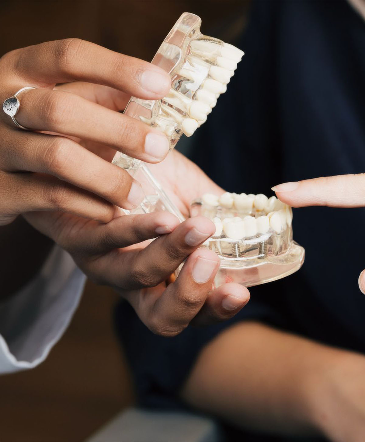 Person holding a dental model showing teeth while another person points at it.