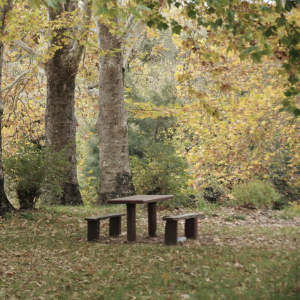 Loggerheads Country Park