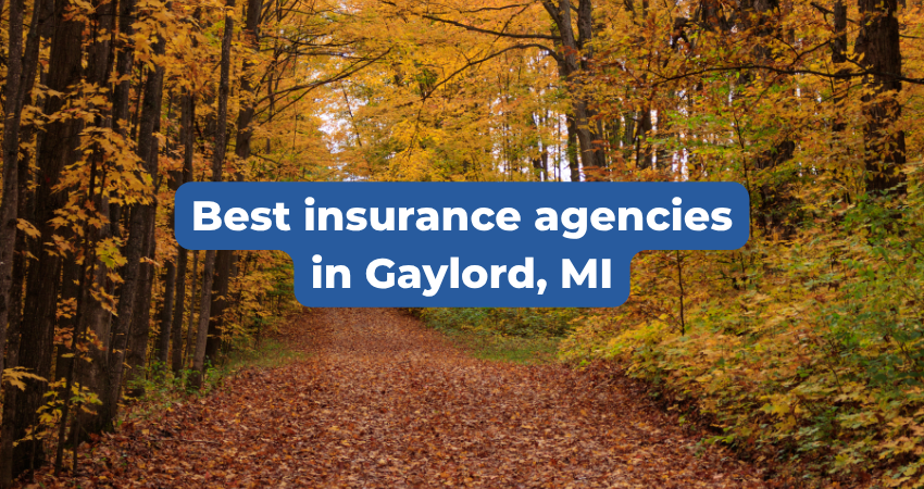 Who Are the Best Insurance Agencies in Gaylord, Michigan?