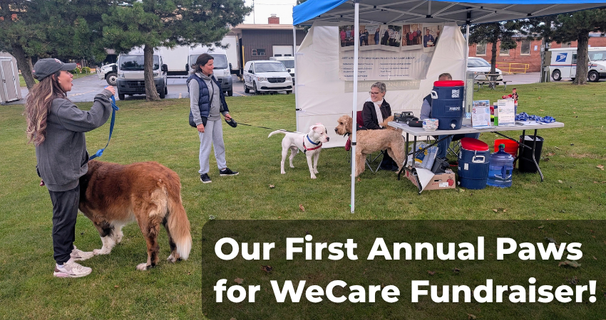 Our First Paws for WeCare Walk Is In the Books