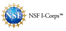 Logo of the National Science Foundation with the letters NSF in white on a blue globe surrounded by a gold gear on a black background.