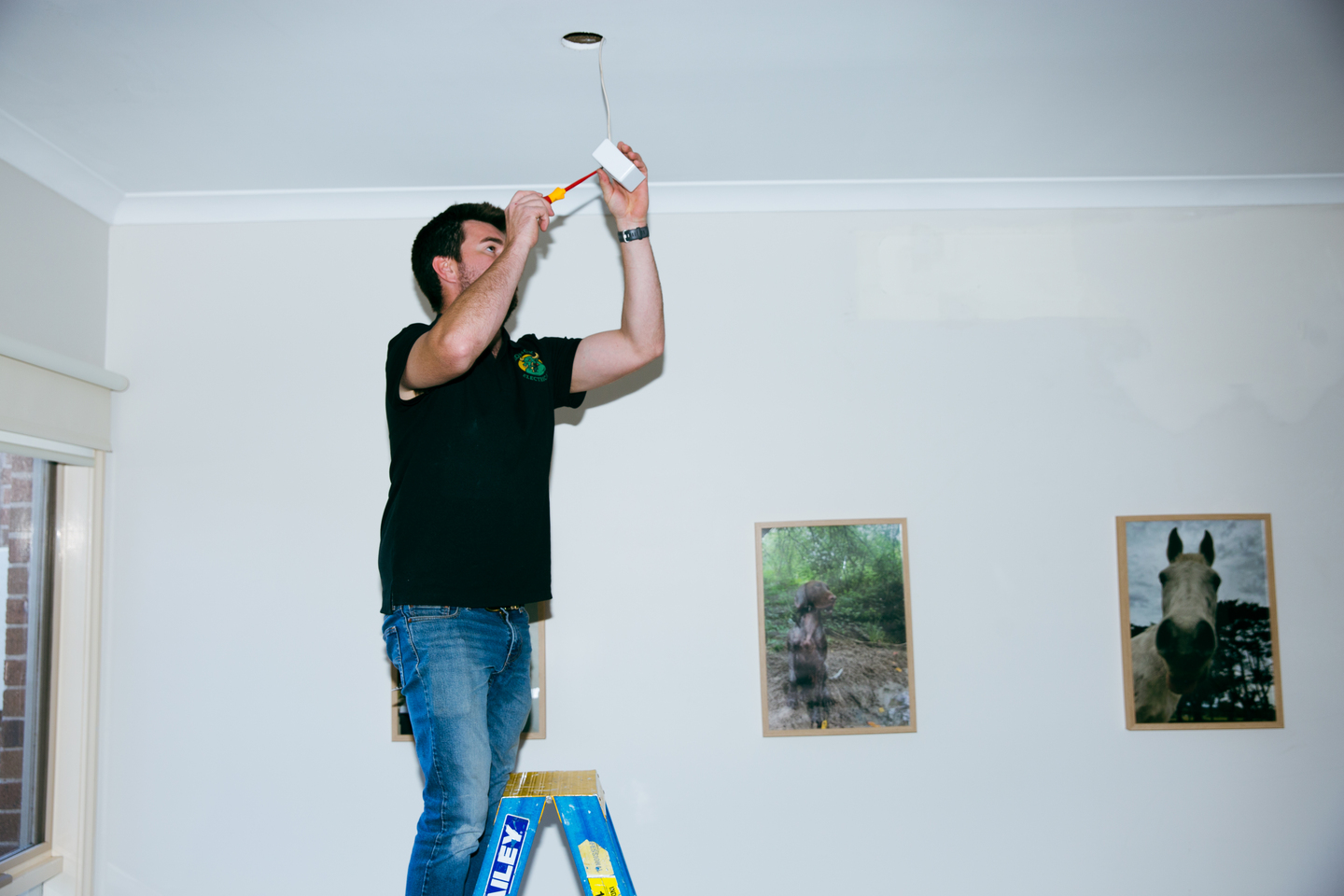 Lighting Solutions