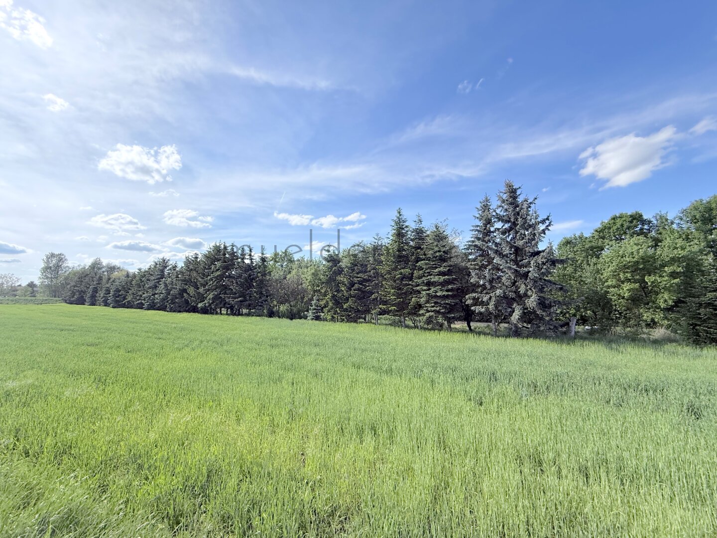 Großes 1647m² Grundstück in Stetten, Niederösterreich
